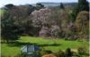 Magnolia Camelias lodge Devon view